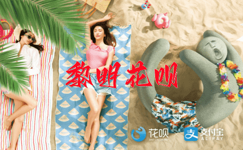 忍无可忍花呗